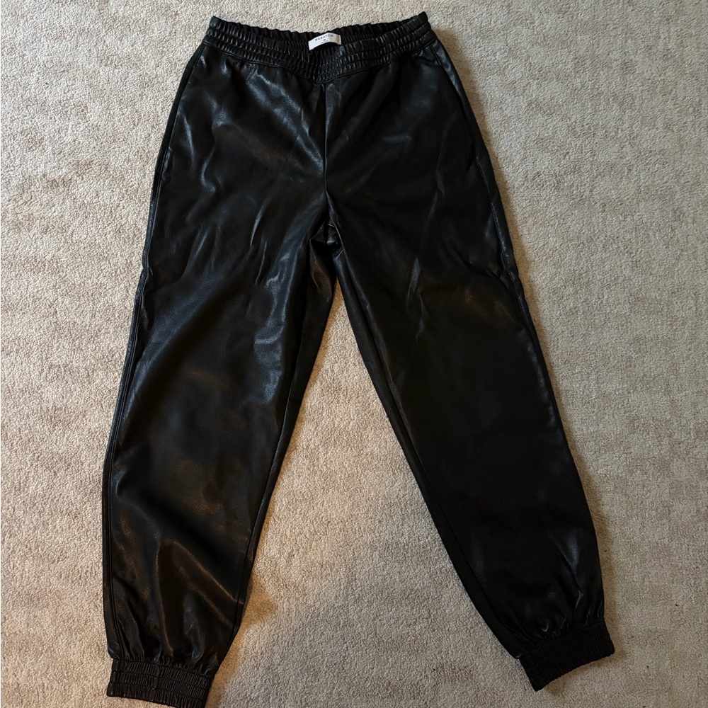 Aritzia (Babaton) Faux Leather Jogger Pants